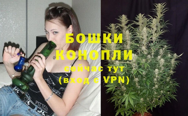 каннабис Аркадак