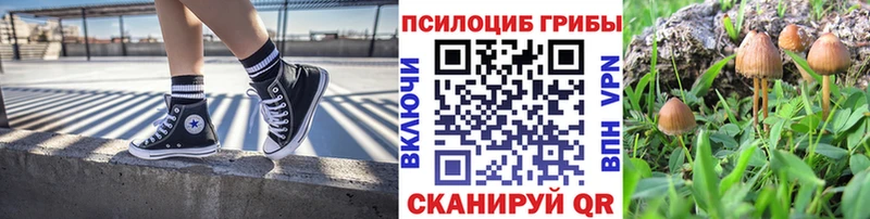 блэк спрут   Сальск  Галлюциногенные грибы Magic Shrooms 